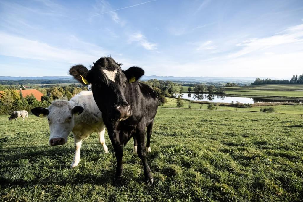 Appartement Mondholzliebe Eg Argenbuhl Exteriör bild